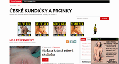 Desktop Screenshot of ceskykundicky.info